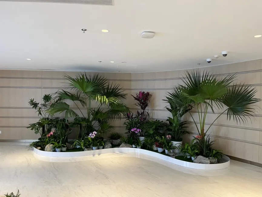 “慈溪绿化修剪哪家靠谱？深度评测告诉你！验